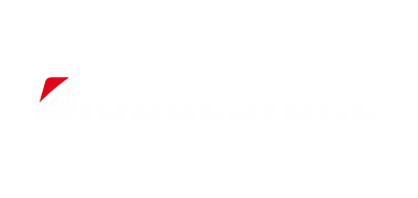 Logo Bridgestione